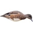 thumbnail image 3 of Final Approach Last Pass Wigeon Silhouette Decoys, 12 Pack, 3 of 5