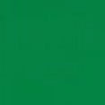 thumbnail image 4 of Playera Blusa Con Estampado De Goodbye 2024 Hello 2025 Fin De Año Año Nuevo Color Verde Talla Grande Marca Emil SaEs, 4 of 4