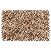 Yard Long Bean Seeds for Planting - 50 Seeds - Asparagus Bean | Snake Bean | Chinese Long Bean | Red Ripper Cowpeas
