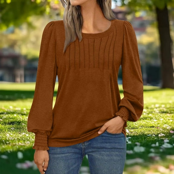 Long Sleeve Shirts Womens Pleated Business Casual Blouses with Smocked Cuffs