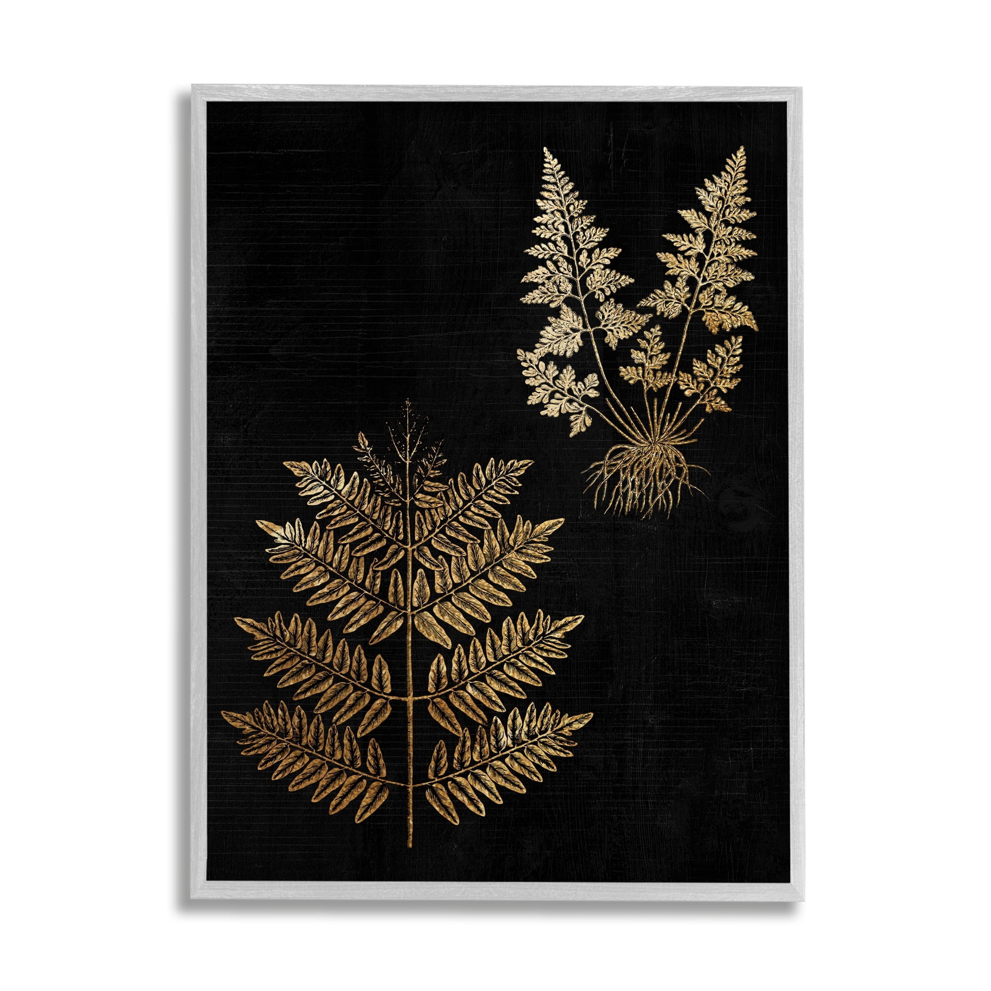 Stupell Industries Bold Fern Blade Illustration Rooted Forest Floor Plants, 16 x 20, Design by Daphne Polselli