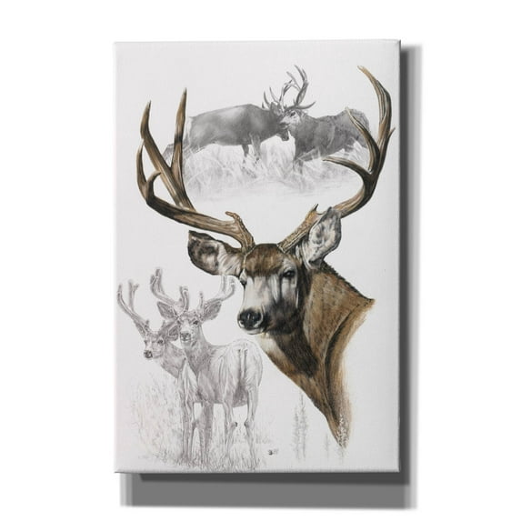 Epic Graffiti 'Mule Deer' by Barbara Keith, Canvas Wall Art, 12"x18"