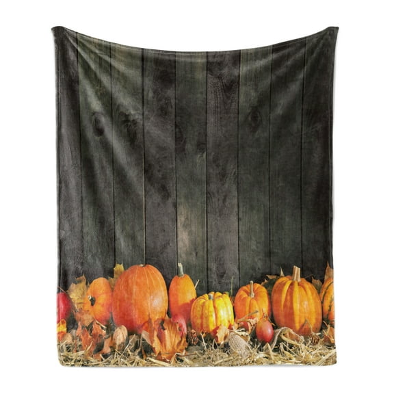 Harvest Soft Flannel Fleece Blanket, Thanksgiving Themed Pumpkins Many Shapes and Sizes in Hay Wooden Board Background, Cozy Plush for Indoor and Outdoor Use, 50" x 70", Brown Orange, by Ambesonne