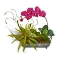 thumbnail image 2 of Nearly Natural Phalaenopsis Orchid and Fern Artificial Arrangement in Metal Tray-Color:Cream, 2 of 2