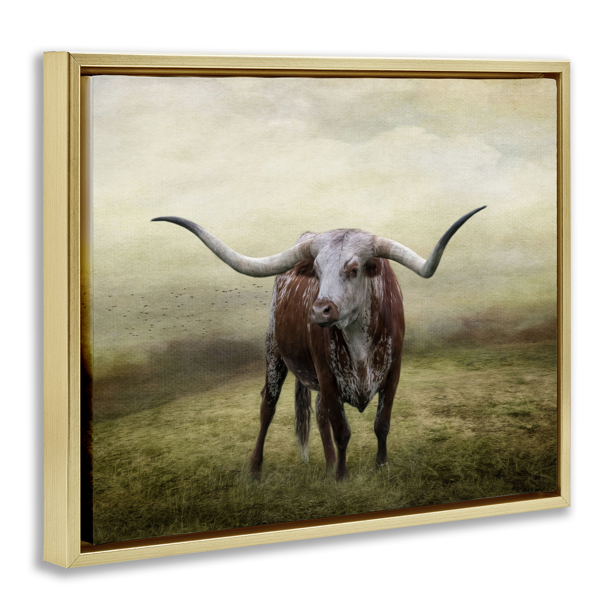 Stupell Industries Pride Of The Longhorn Animals & Insects Photography Gold Floater Framed Canvas Art Print Wall Art, 31 x 25