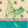 thumbnail image 2 of Art.com Luna Moth Stretched Canvas Print Wall Art by Robbin Rawlings, 24" x 24", 2 of 4