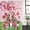 Light Pink Bright Red Grass Green, variant on Valentine's Day Shower Curtain Set - Small 36" x 72" Washable Bathtub Curtain with 12 Hooks, Watercolor Funny Dogs Love Roses Spring Pink Waterproof Fabric Stall Shower Curtains for Bathroom Décor