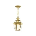 thumbnail image 1 of Livex Lighting Lumiere Suspendue Extérieure 1 Lumière 2152-02, 1 of 5