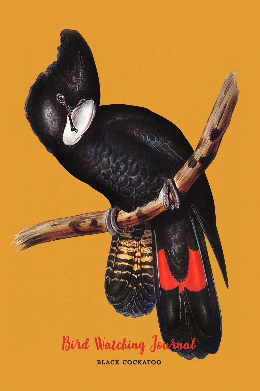 Bird Watching Journal Field Book Log & Watching Guide / Black Cockatoo