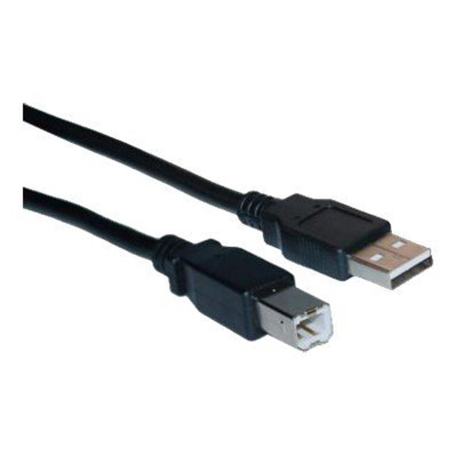 CableWholesale.com - Câble USB - USB (m) vers USB Type B (m) - USB 2.0 - 3 Pi - Moulé - Noir