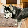 thumbnail image 2 of PoisePup Pet Dog Step-in Harness - Desert Mint, 2 of 3