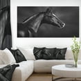 thumbnail image 1 of Portrait de Cheval Arabe Noir - Impression sur Toile d'Animal, 1 of 3
