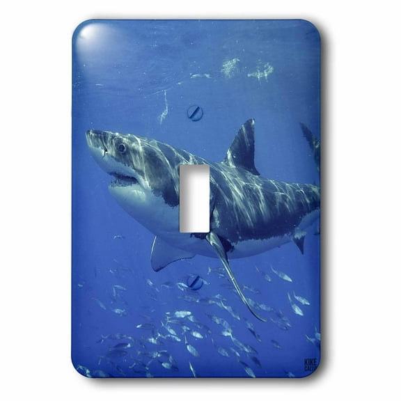 3dRose, Great White Shark, single toggle switch