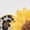 White, variant on Peace Love Sunflowers Leopard Heart Graphic Tees Womans T-shirt Black/White S-5XL Shirts Floral Boho Tops