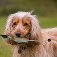 thumbnail image 4 of Durable Floating Training Squeaky Toy For Interactive Puppy And Adult Dog Exercise Companionship Outdoor Activity, 4 of 4