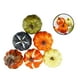 thumbnail image 2 of Yuarrent 6 unids/set simulación calabaza otoño Mini calabaza conjunto Halloween calabaza Acción de Gracias decoración calabaza Halloween decoración Kits de decoración para fiestas Yuarrent HA000956-00B, 2 of 8