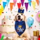 thumbnail image 5 of Bandera de perro mascota Banner pastel insertar sombrero de cumpleaños, 5 of 5