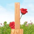 thumbnail image 3 of Incienso Aromático Artesanal Palo Santo y Rosa Romance 100% Vegano para Hogar, Oficina y Meditación 3 PACK, 3 of 3