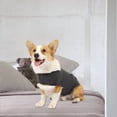 thumbnail image 3 of TELOLY 2026 New Anti Anxiety Vest for Dogs, Dog Anxiety Relief Coat, Skin Friendly Dog Calming Jacket Vest, Adjustable Dog Shirts for Thunder, Fireworks and Separation, Keep Pet Calm Without Training, 3 of 6