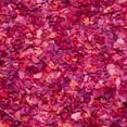 thumbnail image 5 of SAFAVIEH Rio Cassandra Confetti Polyester Shag Area Rug, Fuchsia/Multi, 8' x 10', 5 of 7
