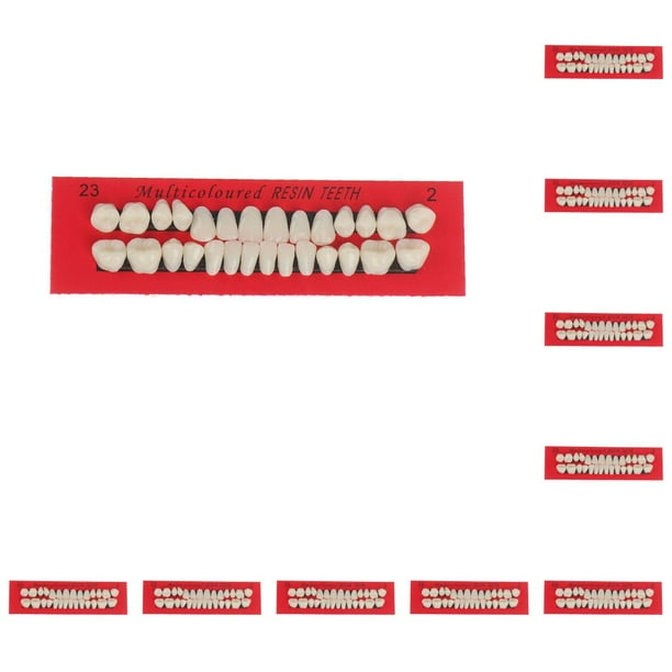 Soidarity 28 unids/set modelo de de resina dentaduras duraderas postizos universales Resi No.1 10piezas