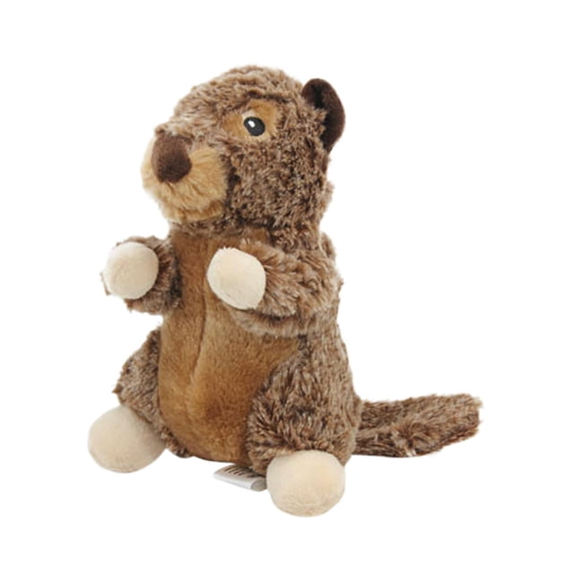 Interactive Squeaker Chew Toy for Puppy Teeth Grinding and Obedience Training Pet Dog Toy