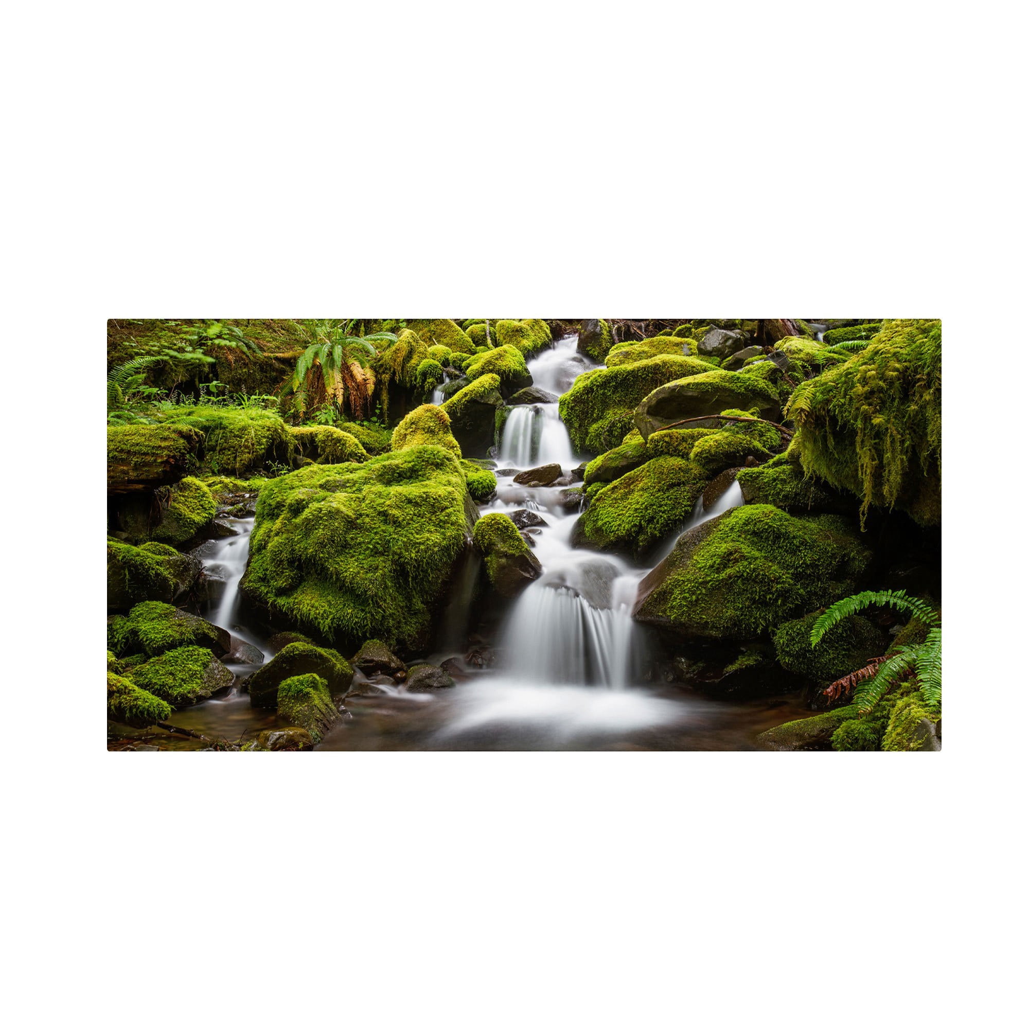 Trademark Fine Art "Green Moss Stream" Canvas Art by Pierre Leclerc