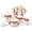 British Vintage, variant on 22 pcs Porcelain Tea Set for 6, Luxury British Style Tea/Coffee Cup Set with Trim, Beautiful Tea Set for Women, Tea Party Set, Gift Package (With a Stand)