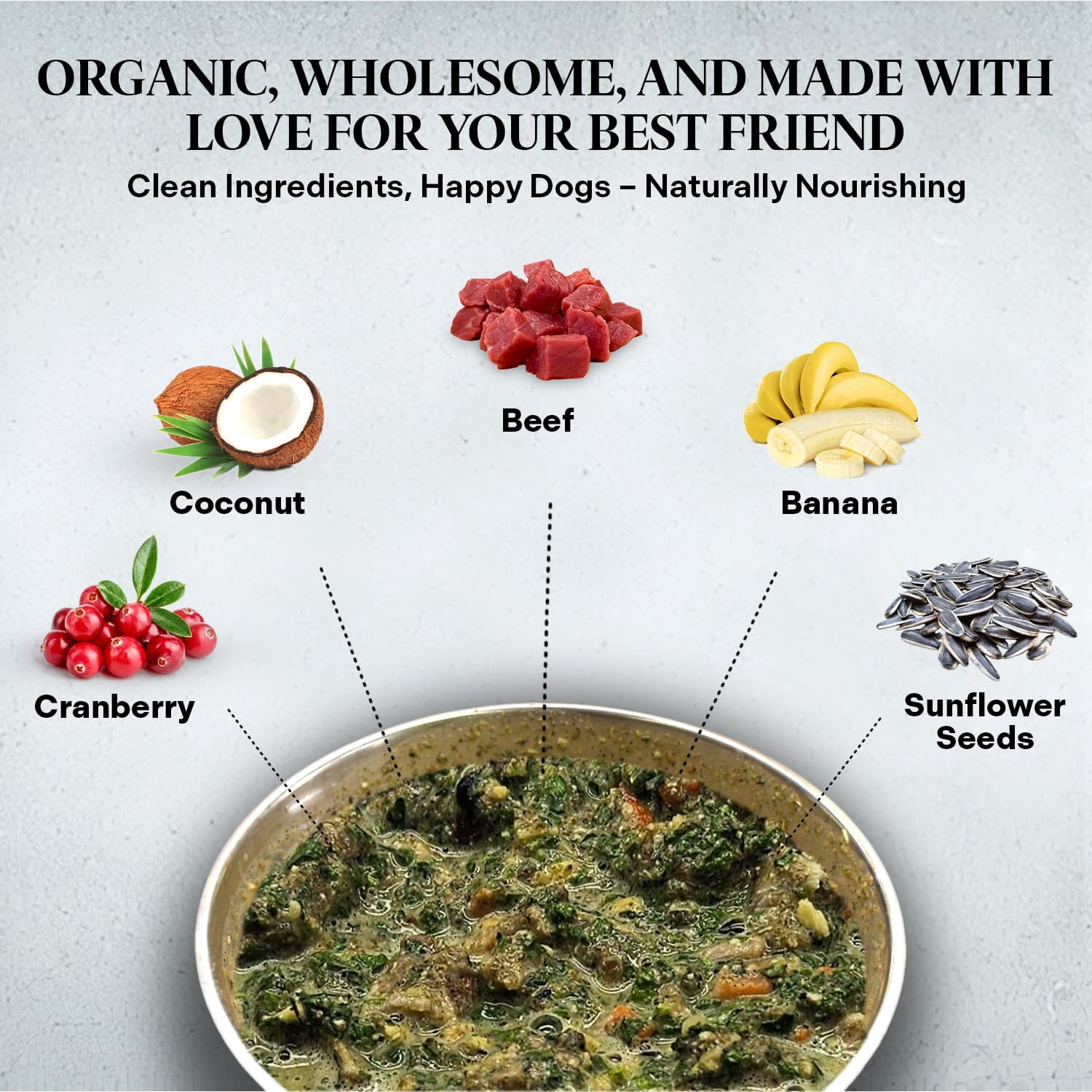 Healthy Dogma Homestyle PetMix with Real Beef – Dehydrated Homemade Dog Food, All-Natural Ingredients, No Preservatives, Easy-to-Make Daily Meal – 2 lbs (Makes 4 lbs)