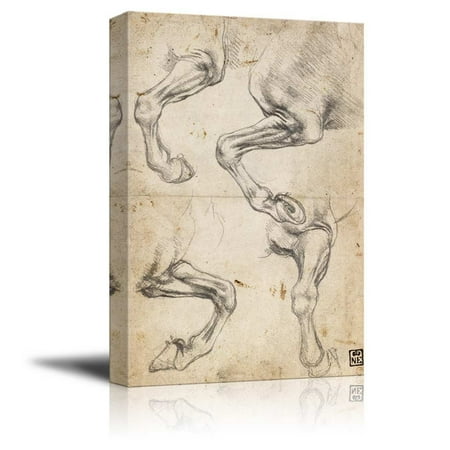Study Oil Painting - Wall26 - Study of Horses (Horse AnatomySketches) by Leonardo da Vinci - Canvas Print Wall Art Famous Oil Painting Reproduction - 24