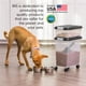 thumbnail image 3 of Contenedor de comida IRIS USA para perro, combinación de 13,6 kg y 4,99 kg, 3 of 9