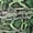 Green, variant on Python Illusion Tricot | Elite Pro-Flex 4-Way Glow | Spandex Palace