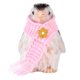 thumbnail image 1 of Mini pingüino de silicona realista, juguete sensorial, modelo, Mini adorno, figura de pingüino realista encantadora para niños, regalo de cumpleaños, 1 of 8