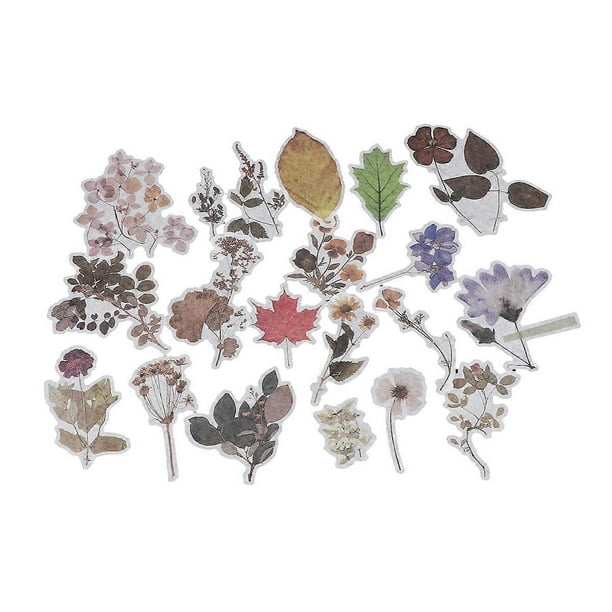 Fashion Diy Sticker Notebook Decal Assorted Color for Personalization 1Pack