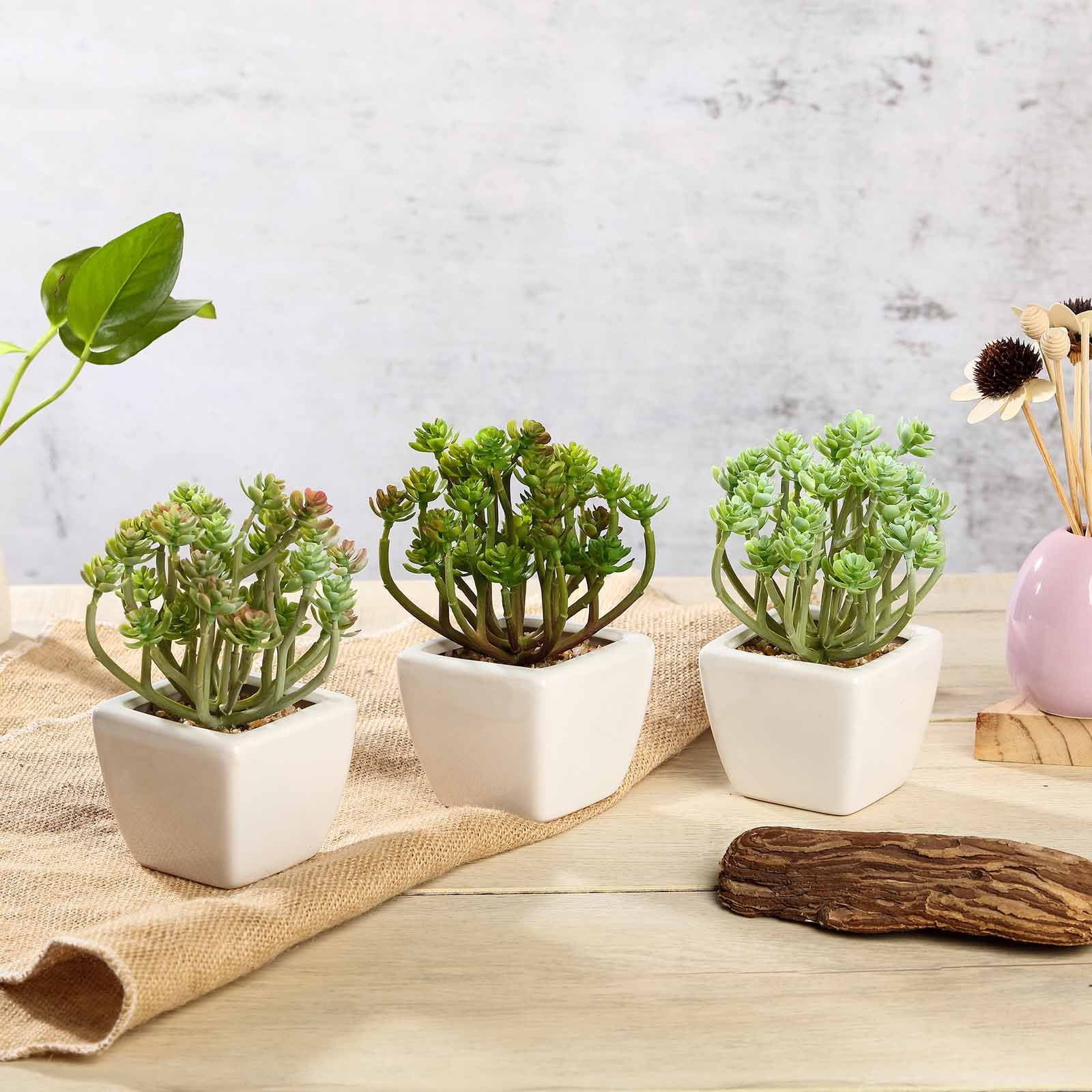 Set of 3 7&quot; Assorted Fake Succulents in Pot Crassula