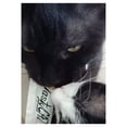 thumbnail image 3 of Tasty CAT Golosina Para Gatos Atun y Calamar (Caja Con 12 Sobres), 3 of 3