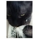 thumbnail image 3 of Tasty CAT Golosina Para Gatos Mariscos (Caja Con 12 Sobres), 3 of 3
