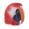 thumbnail image 1 of Bristol Novelty  Parrot Rubber Head Mask, 1 of 1