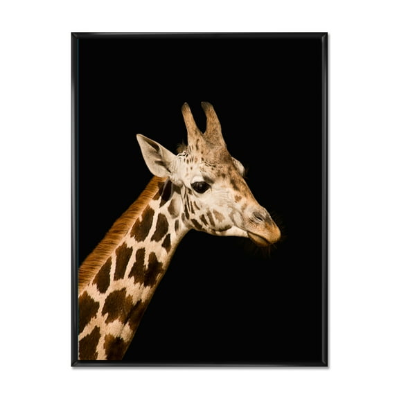 Close Up Portrait Of A Giraffe On Black IV 12 in x 20 in Framed Painting Canvas Art Print, by Designart