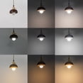 thumbnail image 4 of FSLiving Dimmable Color changing Remote Control Pendant Light with 15ft Brown Twisted Plug in Cord Mini Coconut Shell Art Style Pully Adjustable Lighting Fixtures for Kitchen Sink Home Decor - 1 Pack, 4 of 10