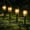Black, variant on Fohil Solar Garden Lights Outdoor, 12 Pack Solar Pathway Lights Waterproof for Garden Lawn Cool White