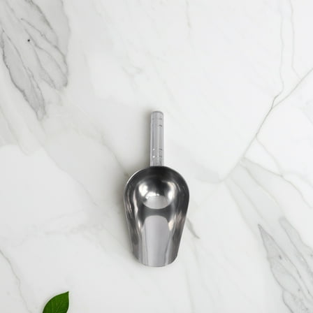 BESTONZON Dog Dish Scoop Silver Stainless Steel 1Pack for Pet Food