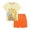 Orange animals, variant on WIBACKER 2-7Y 100% Cotton Summer Pajamas for Toddler Boys 2 Piece Short Sleeve Sleepwear Kids Pjs Set - Excavator