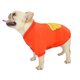 thumbnail image 3 of Ropa para Mascotas onlyliua Jersey Taurino Banana, 3 of 7