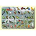 thumbnail image 1 of Popular Birds Placemat, 1 of 1