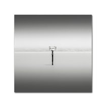 Trademark Fine Art "Isolation" Canvas Art by Dave MacVicar