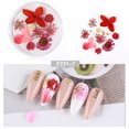 thumbnail image 1 of Uñas postizas, regalos para mujeres, decoración de uñas con flores secas, uñas japonesas, encaje 3D inmortal, juego de narcisos, lentejuelas para uñas., 1 of 2