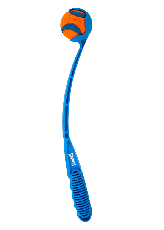 dog fetch toy electric