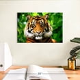 thumbnail image 3 of Elephant Stock Sumatran Tiger Gaze Wall Art - Horizontal Canvas Wall Art - Living Room Wall Decor - Animal Canvas - Green And Brown Decor - 12" x 8", 3 of 8