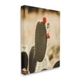 thumbnail image 3 of Stupell Prickly Pear Cactus Fruits Botanical & Floral Photography Gallery Wrapped Canvas Print Wall Art, 3 of 5